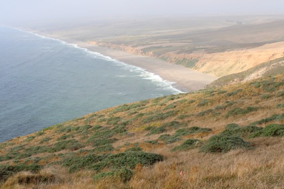 Point Reyes Shorline